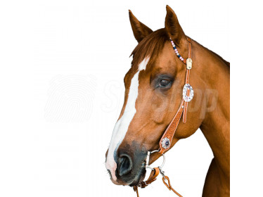 Ultrazvukový odpuzovač klíšťat pro koně Tickless Horse