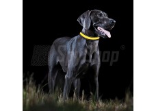 Tractive LED psí obojek pro GPS lokalizátor