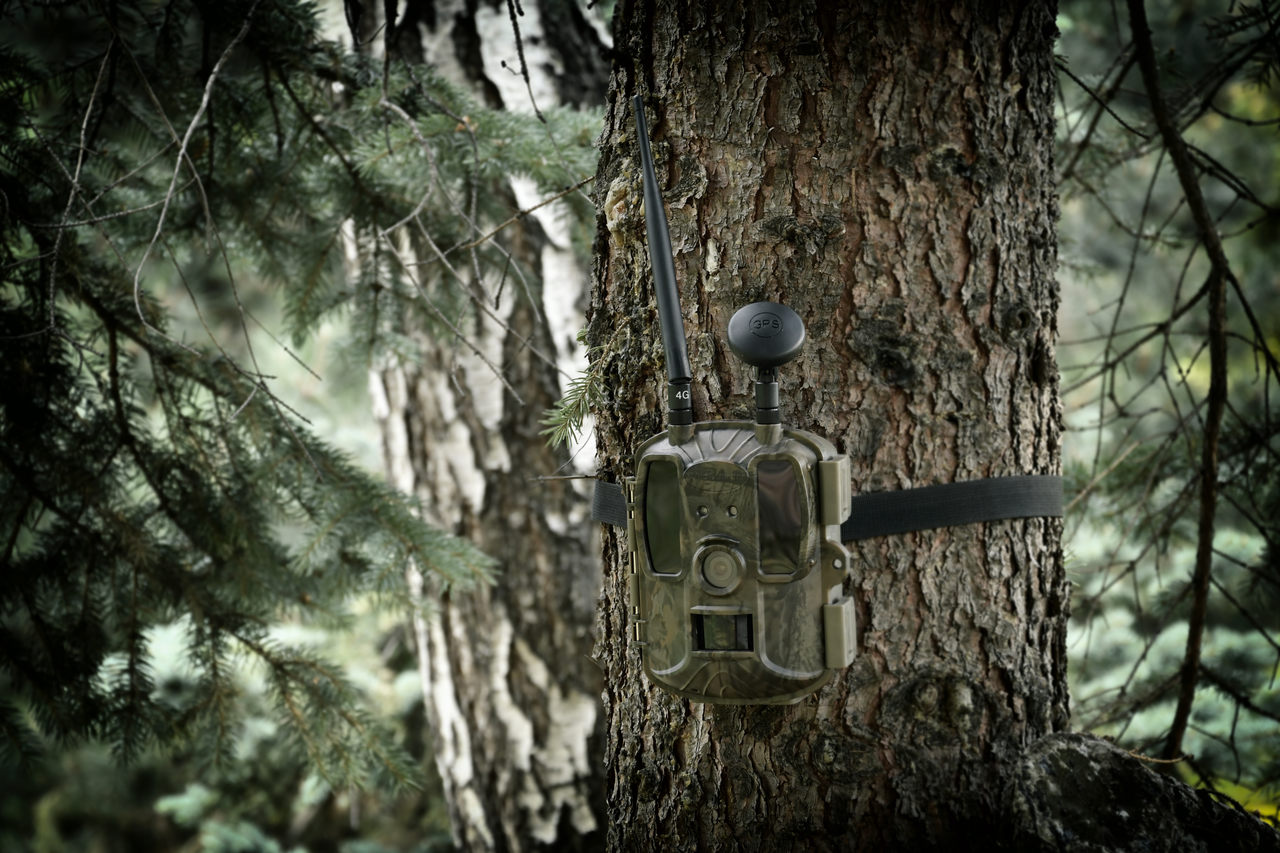 Fotopast pro myslivce maskovaná v lese na stromě