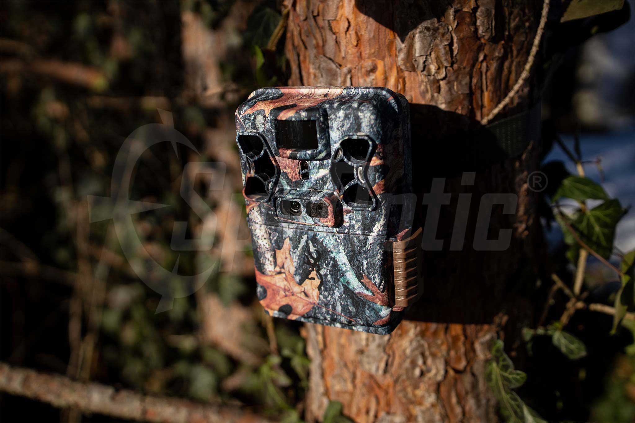Fotopast Browning Patriot připevněna do stromu v lese