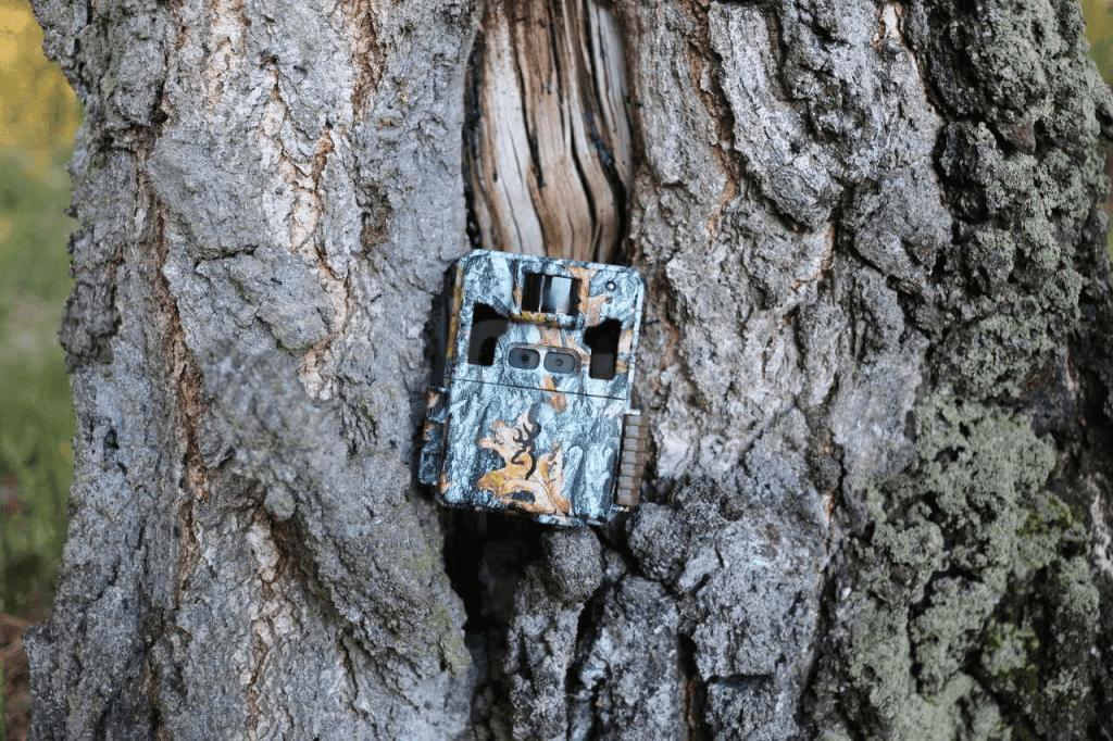 fotopast maskovaná na stromě