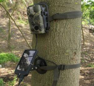 Fotopast – venkovní kamera na stromě