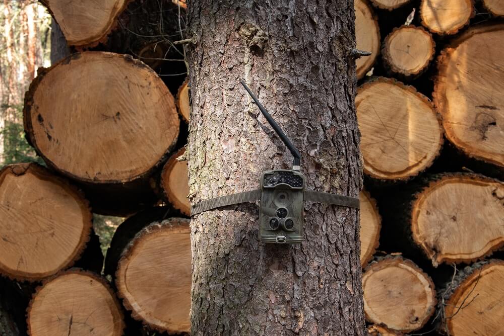 Fotopast GSM na zloděje dřeva